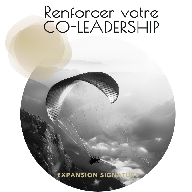 Dirigeant prenant la bonne direction en situation complexe et risquée, en séance de coaching