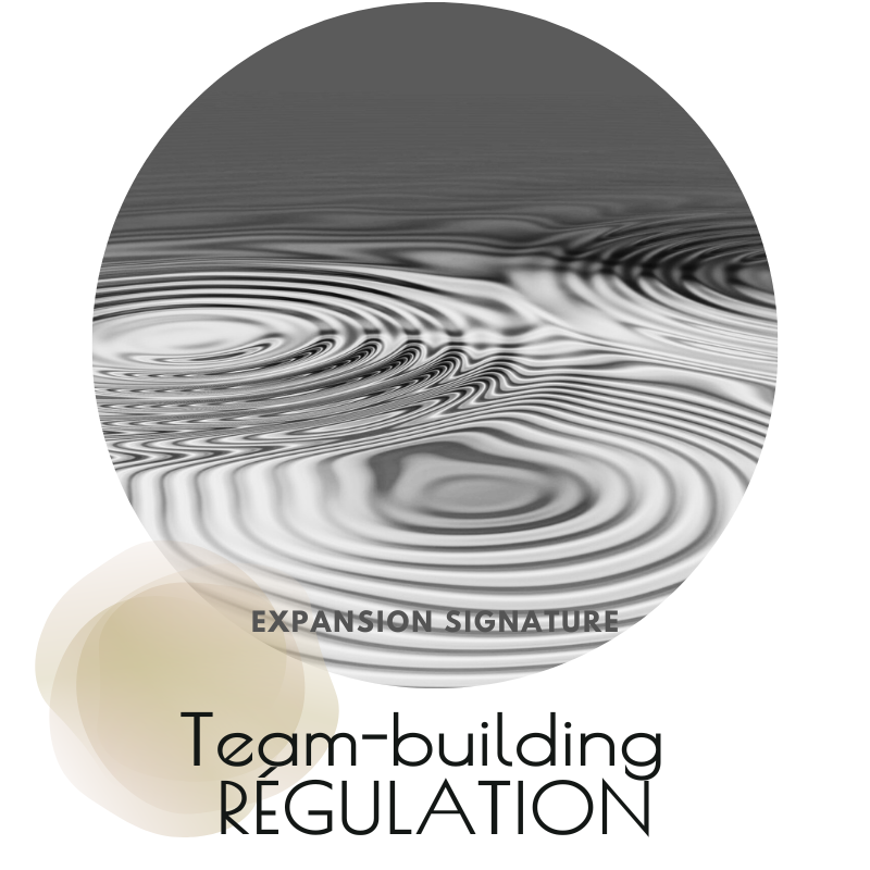 Séance de teambuilding de régulation pour lever les non-dits, restaurer la confiance et relancer la coopération au sein d’une équipe dirigeante