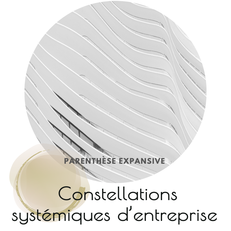 Constellations systémiques pour dirigeants et équipes, quand les problèmes persistes, afin de révéler les blocages invisibles et rétablir la cohérence du système en coaching individuel ou collectif