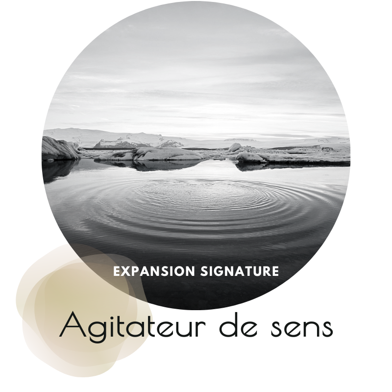 Séance d’intervision et de codéveloppement pour dirigeants, favorisant le recentrage, la prise de recul et la création d’un réseau de soutien en coaching collectif
