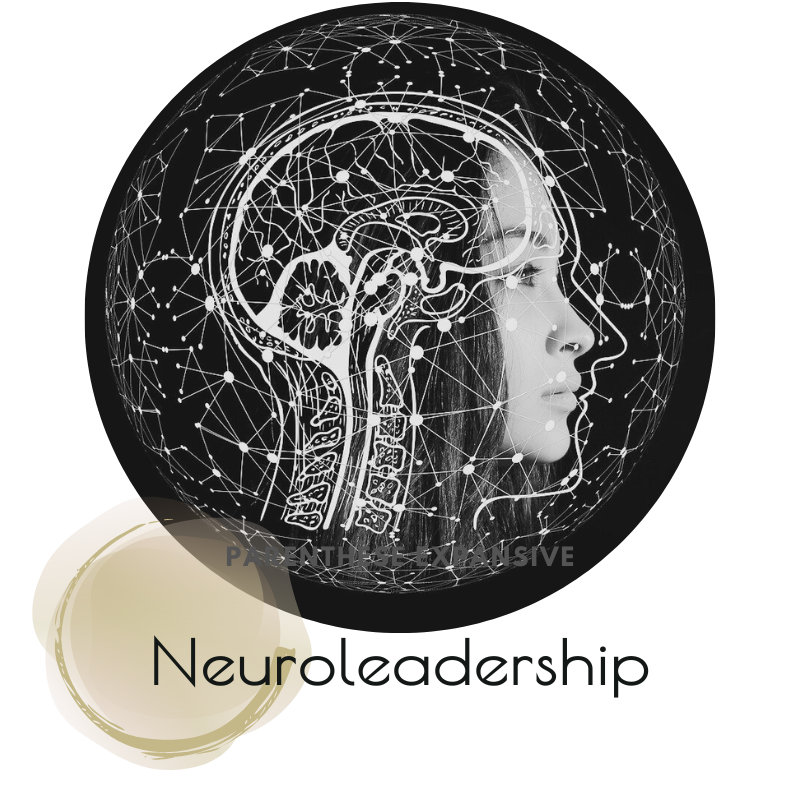 Dirigeant gagnant en efficacité et sérénité grâce au coaching novateur en neuroleadership de Carole Aubert, allégeant la charge mentale et le stress