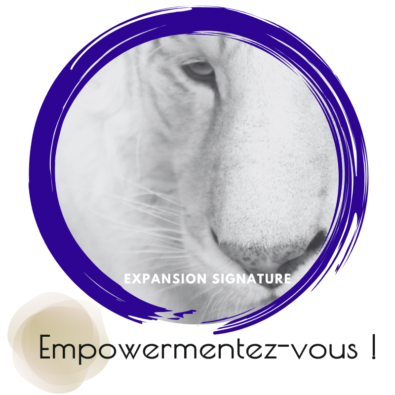 Articles sur le leadership conscient des dirigeants, l’empowerment, un changement de posture et une transformation personnelle avec Expansion Signature